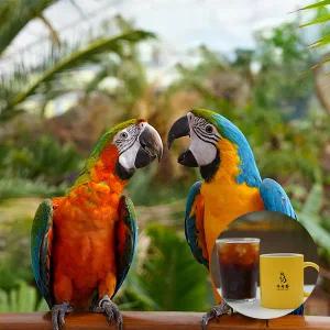 [가평] 가평베고니아새정원 아메리카노PKG(11/1~12/31)