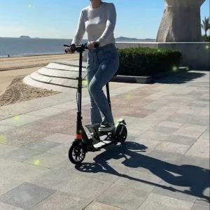 페달 킥보드 수동 두발 경량 유산소 무동력 예쁜 고카트