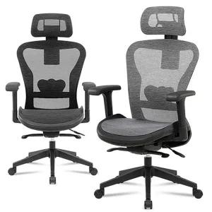 d25 책상의자 메쉬게이밍 풀메쉬 서재가성비 높이조절 (WE5D21C)