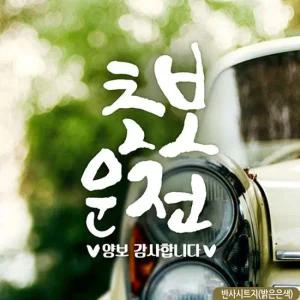 차스티커 초보운전 세로 캘리텐션 초보자동차스티커 반사