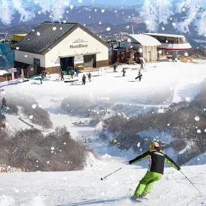 25/26 평창 휘닉스파크 스키 리프트권