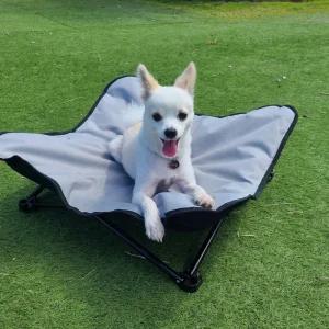 애견 캠핑 체어 강아지 침대 야외 피크닉 용품 의자 반려캠프