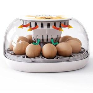 병아리 부화기 12란 자동 인큐베이터 달걀 계란 미니 가정용 소형