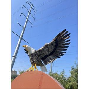유해조류퇴치기 허수아비 독수리 는 마당 골드 스타일(옵션 농사 농경지 1개 방수 비둘기