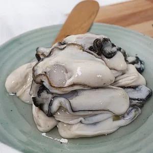 당일작업 통영 신선한 생굴 3kg 중사이즈 깐굴