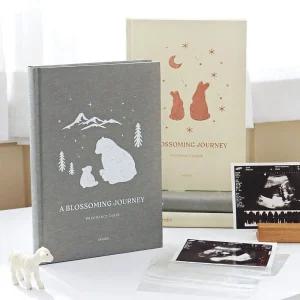 금비가 임신 다이어리 태교 산모수첩 육아일기 태아초음파앨범 임신초음파앨범