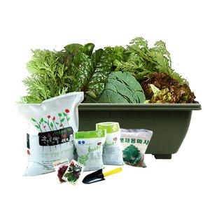 마이플랜트 그린하우스 쌈채소 세트 야채 씨앗 키우기 베란다 옥상 텃밭세트 재배키트
