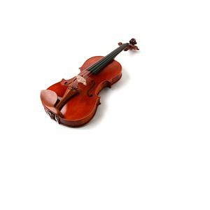 바우바우악기사의 바움 바이올린(도미넌트현세팅)