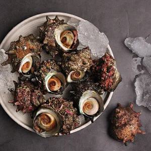 [푸르젠]경남통영 자연산 뿔소라 1kg