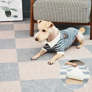 펫아미고 강아지매트 45cm 8매 타일식 흡착 미끄럼방지 / 고양이 슬개골 탈구예방