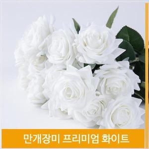 [셀러허브]조화 꽃 만개 장미 식물 실크플라워 화이트 소품 장식 (S7702535)