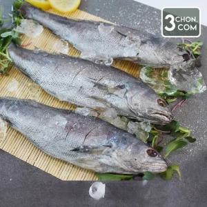 [여수직송] 반건조 민어 6마리