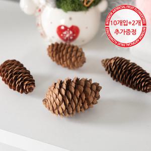 크리스마스 솔방울 트리 장식 길쭉 네츄럴 5cm (10개입) 소품 용품 겨울 인테리어 촬영 데코 만들기 DIY