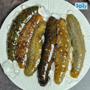 [품질보장] 당일 채취 후 발송 바다의 산삼 활 해삼 500g (4-8미내외)