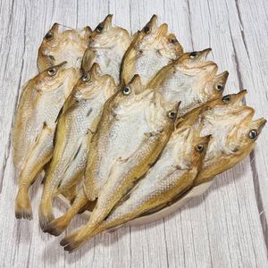 편노가리_편대구 150g/250g 건조 노가리