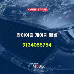 [현대모비스]와이어링 게이지 패널 (9134055754)