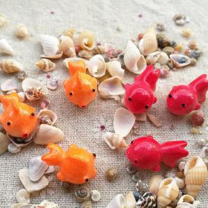 미니어쳐 구피(랜덤)-5개/테라리움 마리모 젤캔들