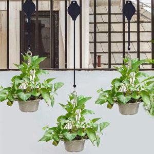 마이플랜트 행잉 리프트 높이조절 공중화분 고리 걸이