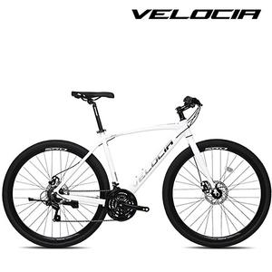 2025 벨로시아 절대 펑크않나는 하이브리드자전거 노펑크 어반글로우 700C 시마노21단 디스크 무료 완조립