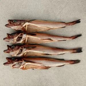 오초록 속초 반건조 코다리 특) 6미 - 미당 50cm 내외  320g내외