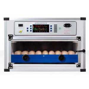 병아리 부화기 조류 유정란 메추리 인공부화기 가금류