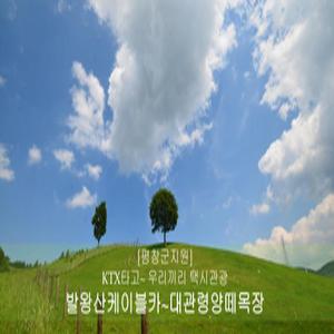 평창군지원 [평창 택시투어 3탄] 발왕산케이블카+대관령양떼목장(당일)