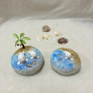 물개 바다 수제 비누 만들기 5인 diy 제로웨이스트 키트