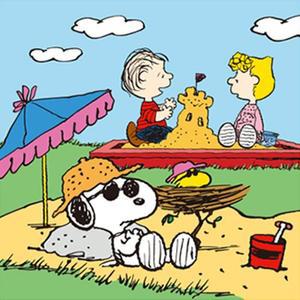 [IXHID805_4B]그리기 페인팅 피너츠 스누피 바캉스 25X25