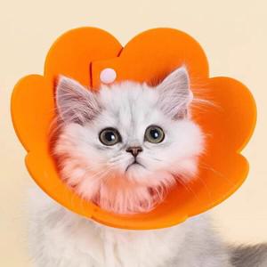 반려동물 초경량 부직포 펠트 넥카라 강아지 고양이 깔대기 노란색 L