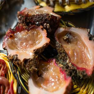 제철 자연산 특 돌멍게 1kg 해녀채취