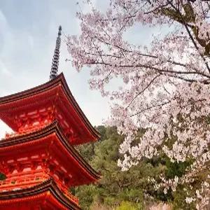 교토 자유여행 3일 #소테츠프레사인교토기요미즈고조 #더블룸 #교토숙박