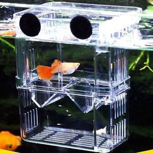 자동분리 치어격리통 중형 분리함 구피산란통 격리통 물고기부화통 구피새끼통 치어받이