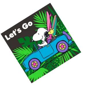 금산 그림그리기 피너츠 스누피 렛츠고 25X25 아크릴색칠하기세트 유화색칠하기세트