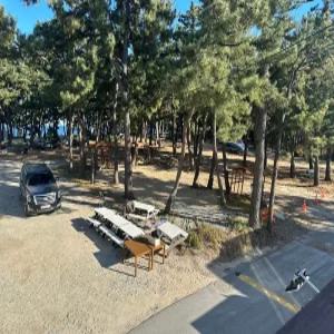 [강원] 킹스하우스민박(강원, 강릉)