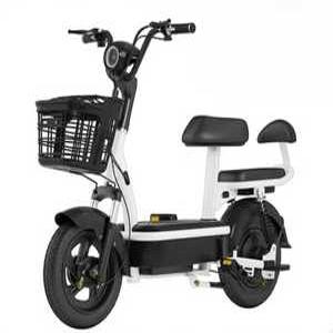 전기자전거 등하원 성인 배터리 충전 대리기사 장보기