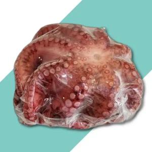 자숙 문어 1미 문어 삶은문어 자숙문어 문어숙회 냉동