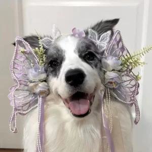 강아지 나비 머리띠 요정 머리장식 고양이 반려동물 악세사리
