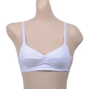 (글로리)깔끔한 스트라이프 가슴밑 매쉬테잎 AA컵 주니어 노와이어 2단계 브라/리스 스포츠 하이 청소년