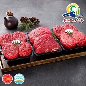 [총체보리한우]1등급이상 알찬정육 2호실속세트(양지500g+불고기1kg)