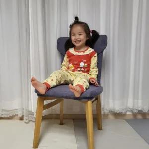 커버 리폼 식탁의자 덮개 천갈이 진그레이