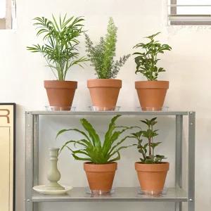 데로마 토분 13호 식물 받침세트 관엽식물 클래식 토분 인테리어 