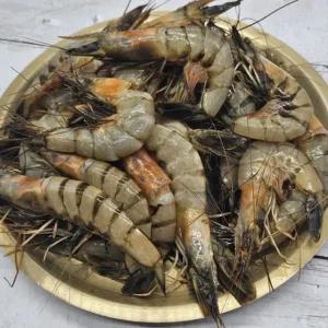 서해안 제철 급냉 대하 1kg