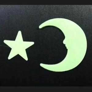 [셀러허브]천장에 붙이는 야광 달과 별 6개 A00338 초등실험 (S31260991)