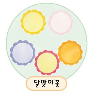 [콩심팥심]글자판(대) 02.달맞이꽃