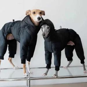 이탈리안 그레이하운드 패딩 방풍 강아지옷 아이쥐 겨울옷 경량 올인원 패딩 점퍼