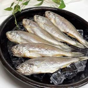 국내산 반건조 참조기 손질 산지직송