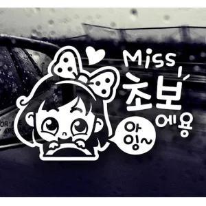 초보운전 미스 초보 동글이