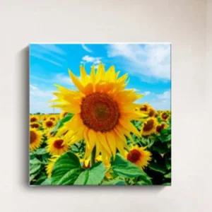 인테리어 액자 해바라기 그림 해바라기그림 해바라기사진 해바라기액자 인테리어액자 인테리어사진