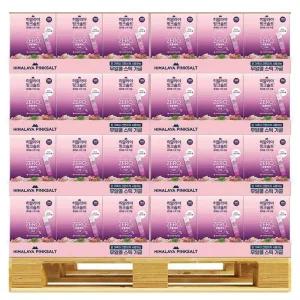 히말라야 핑크솔트 스틱 가글 12ml x 180P x 144 코스트코 코와샵2511