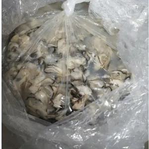 달큰한 고흥 생굴 3kg